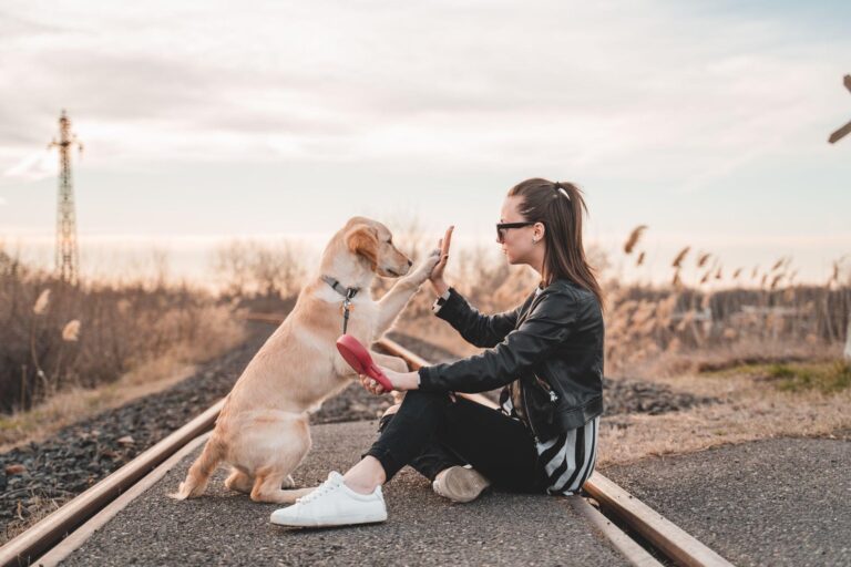 Adopt Don't Shop for Pets